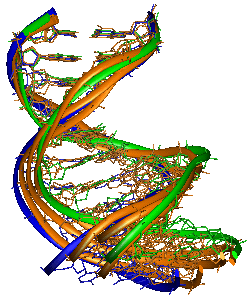 Molecular Dynamics Snapshot of TATA DNA